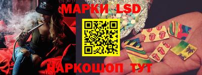шишки Лесосибирск