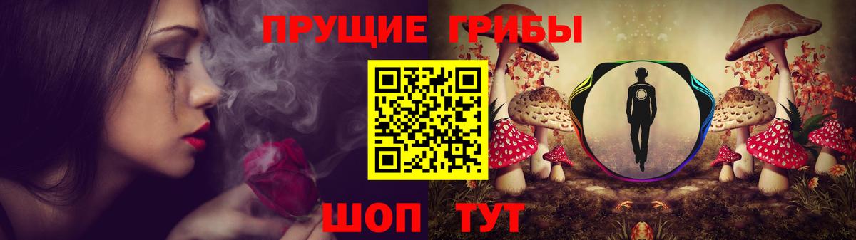 Псилоцибиновые грибы GOLDEN TEACHER Усть-Джегута